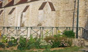 Image fleurs