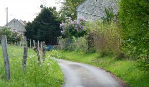 Image chemin