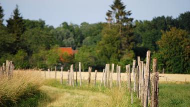 Chemin les Aljards