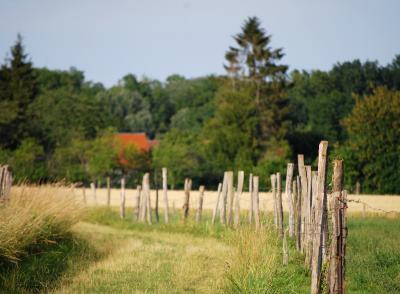 Chemin les Aljards
