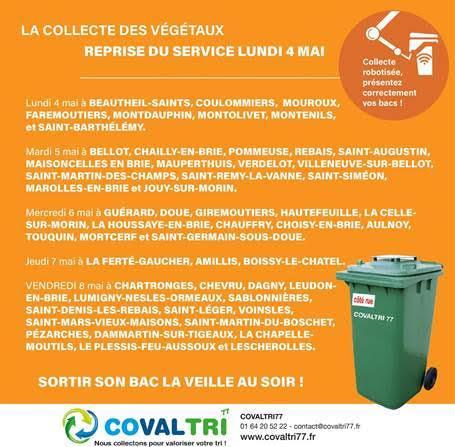 Flyer bacs verts